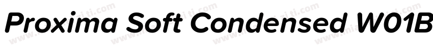 Proxima Soft Condensed W01BlkIt字体转换
